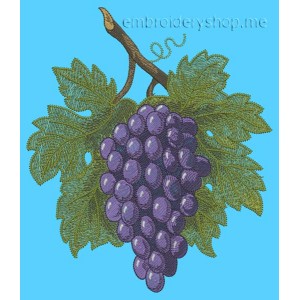 /382-792-thickbox/bunch-of-grapes.jpg