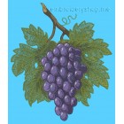 Bunch of grapes size 180*208mm
