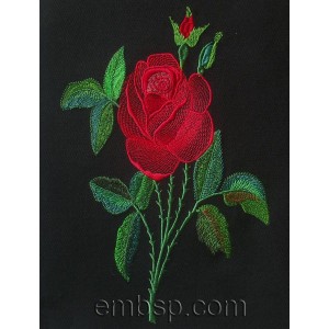 /398-837-thickbox/rose-flowershtml.jpg