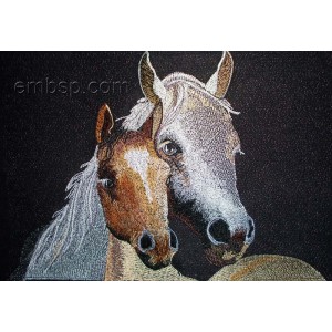 /434-998-thickbox/horses.jpg
