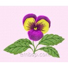 Flowers Pansy size 176*127mm