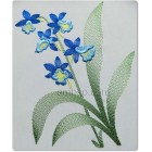 Forget-me-not flw0091