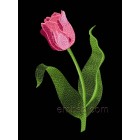 Flower Tulip size 94*163mm