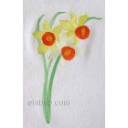 Narcissus flw0105