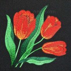 Tulips "Fiery Dawn" flw0110