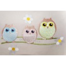 Owls brd0035