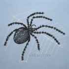 Spider size 150*124mm