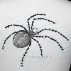 Spider size 240*199mm