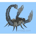 Scorpion anm0027