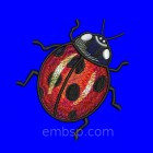 Ladybug int0010