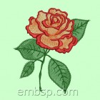 Rose "Confetti" flw0117