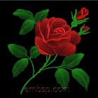 Rose flw0118