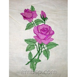/642-1683-thickbox/flowers-rose.jpg