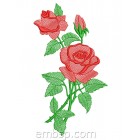 Rose flw0119