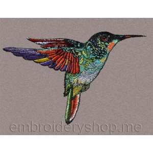 /65-180-thickbox/hummingbird.jpg