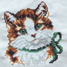 Affectionate kitten Cross-stitch size 116*130mm