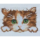 Сross stitch  kitten size 144*98mm
