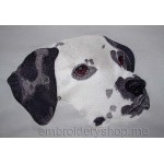 Dalmatian_dog0010