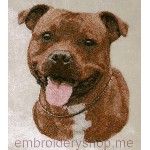 Staffordshire bull terrier_dog0012