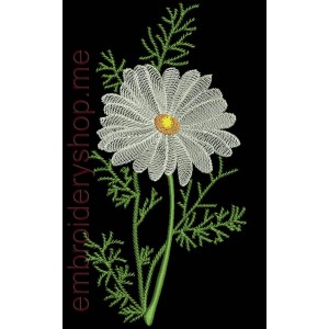 /295-613-thickbox/flowers-chamomile.jpg