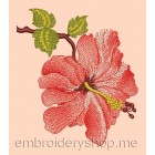 Flowers Hibiscus size  124*145mm