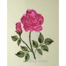 Rose flw0095