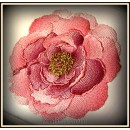 Peony flw0096