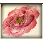 Peony flw0096