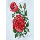 Rose "Inspiration" flw0116