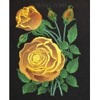 Rose "Inspiration" flw0116