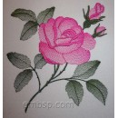 Rose flw0118