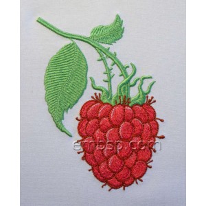 /683-1814-thickbox/raspberry.jpg