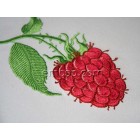 Raspberry frt0009