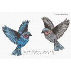 Machine embroidery design Birds (3 designs) brd0059