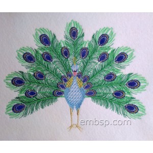 /748-2065-thickbox/royal-peacock.jpg