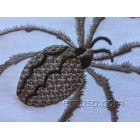 Machine embroidery design Spider anm0030