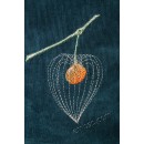 Machine embroidery design Physalis flw0148