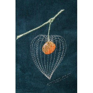 /773-2159-thickbox/flower-physalis.jpg