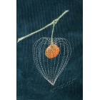 Machine embroidery design Physalis flw0148