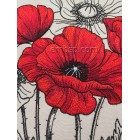 Poppies flw0128_rotated